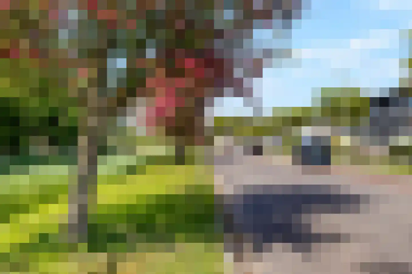 Duinroosstraat 37 Den Helder thumbnail 4
