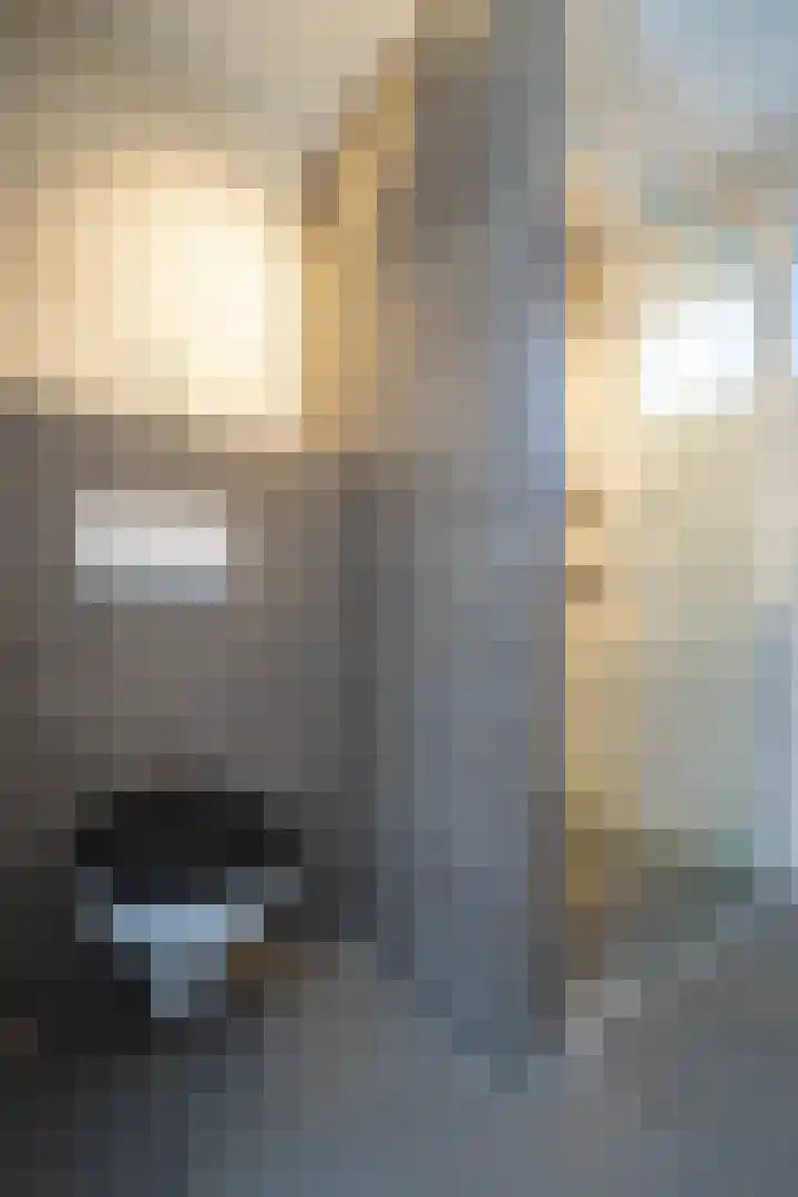 Duinroosstraat 4 Bakel thumbnail 31