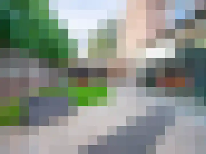 Duinroosstraat 4 Bakel thumbnail 41