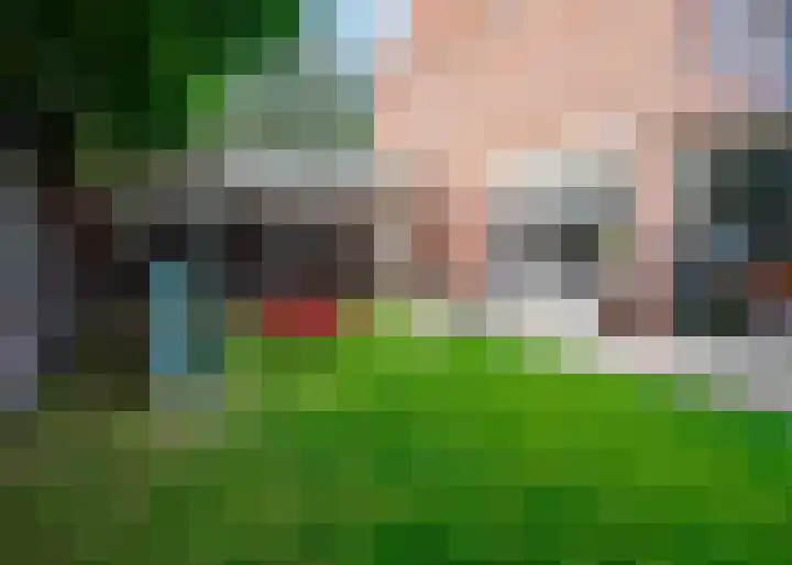 Duinroosstraat 4 Bakel thumbnail 42