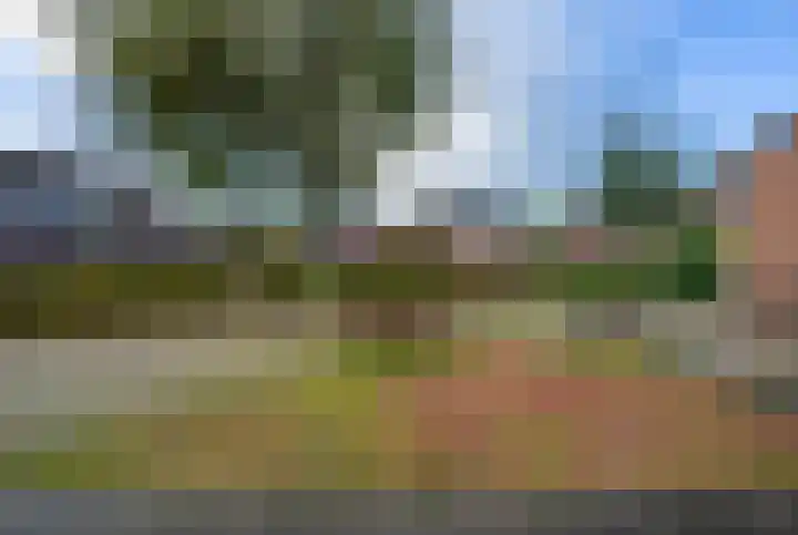 Duinroosstraat 4 Bakel thumbnail 45