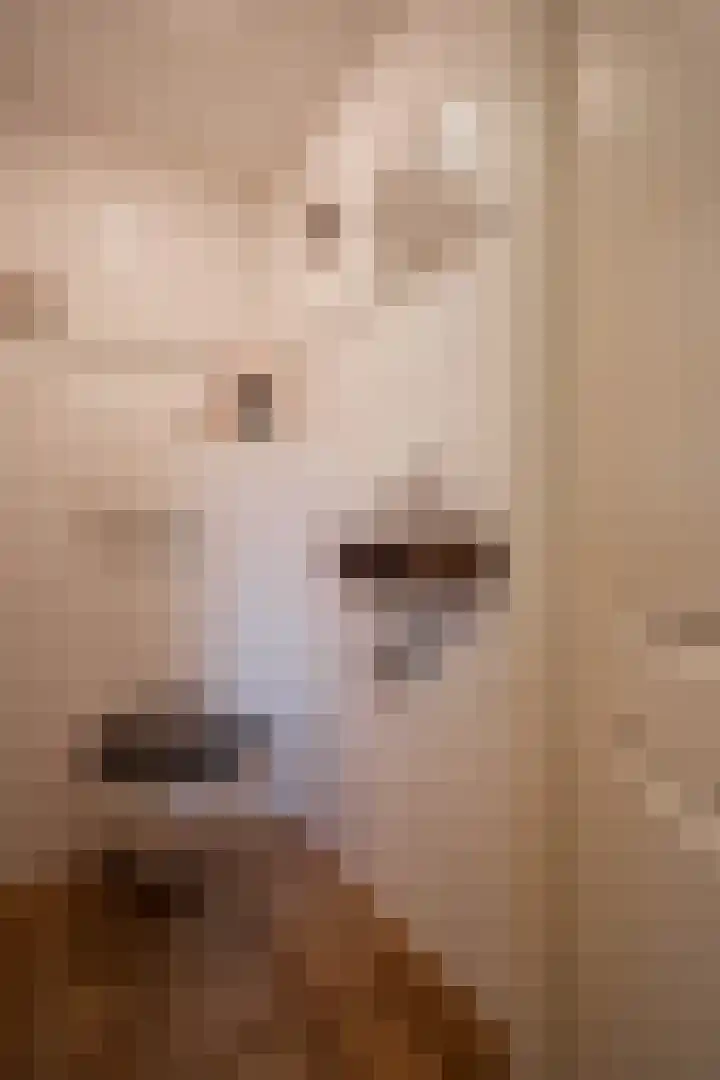 Duinroosstraat 4 Bakel thumbnail 6