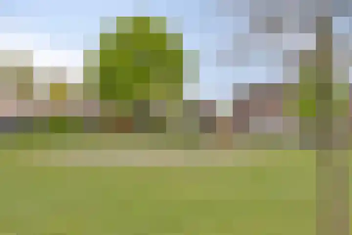Duinroosstraat 40 Bakel thumbnail 37