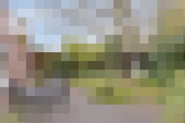 Duinroosstraat 40 Bakel thumbnail 5