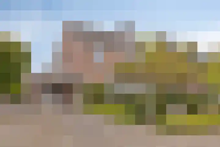 Duinroosstraat 40 Bakel thumbnail 6