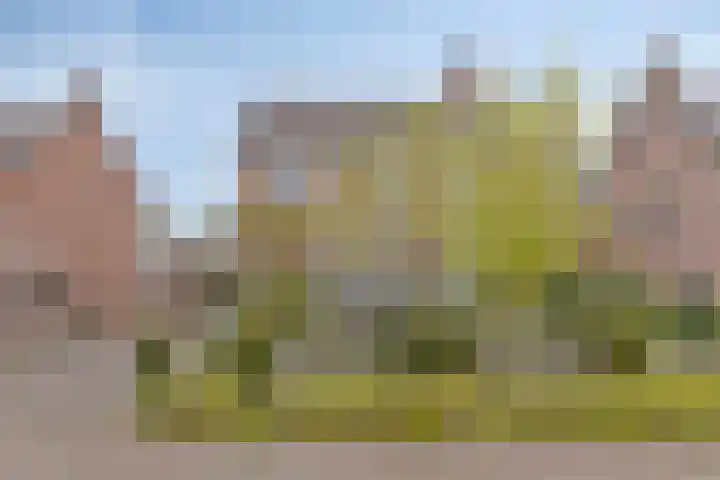 Duinroosstraat 40 Bakel thumbnail 7