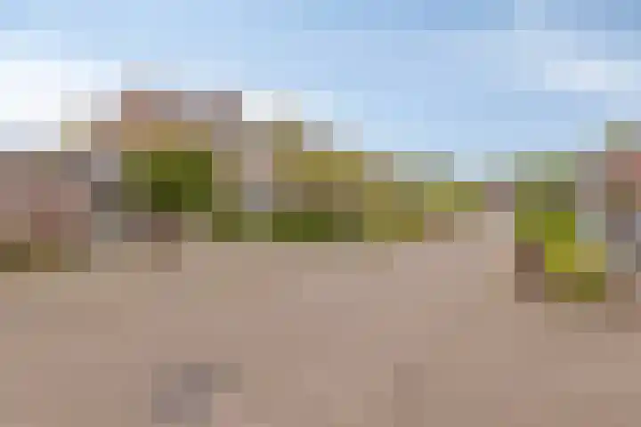 Duinroosstraat 40 Bakel thumbnail 8