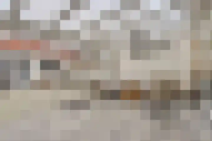 Duinroosstraat 7 Katwijk thumbnail 32