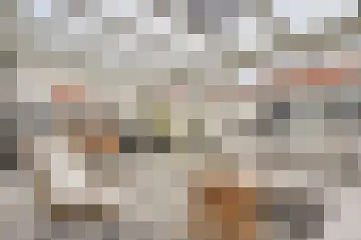 Duinroosstraat 7 Katwijk thumbnail 6