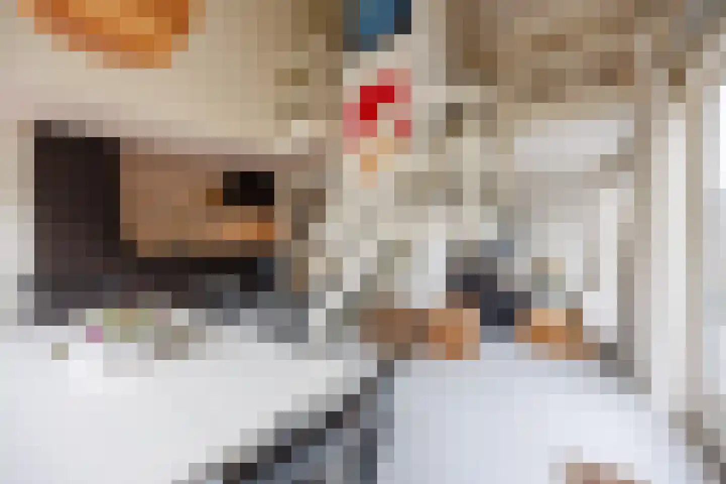 Duinschooten 12 027 Noordwijkerhout thumbnail 11