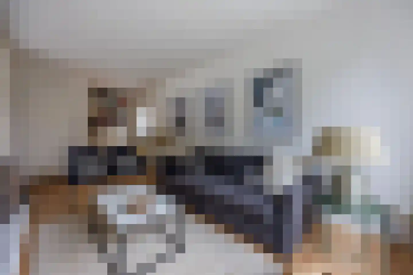 Duinschooten 12 027 Noordwijkerhout thumbnail 18