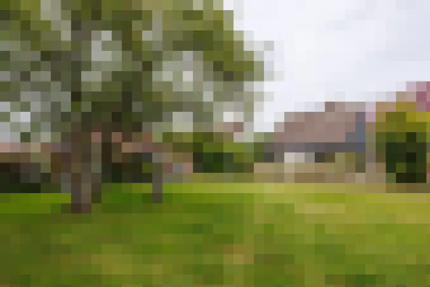 Duinschooten 12 027 Noordwijkerhout thumbnail 30