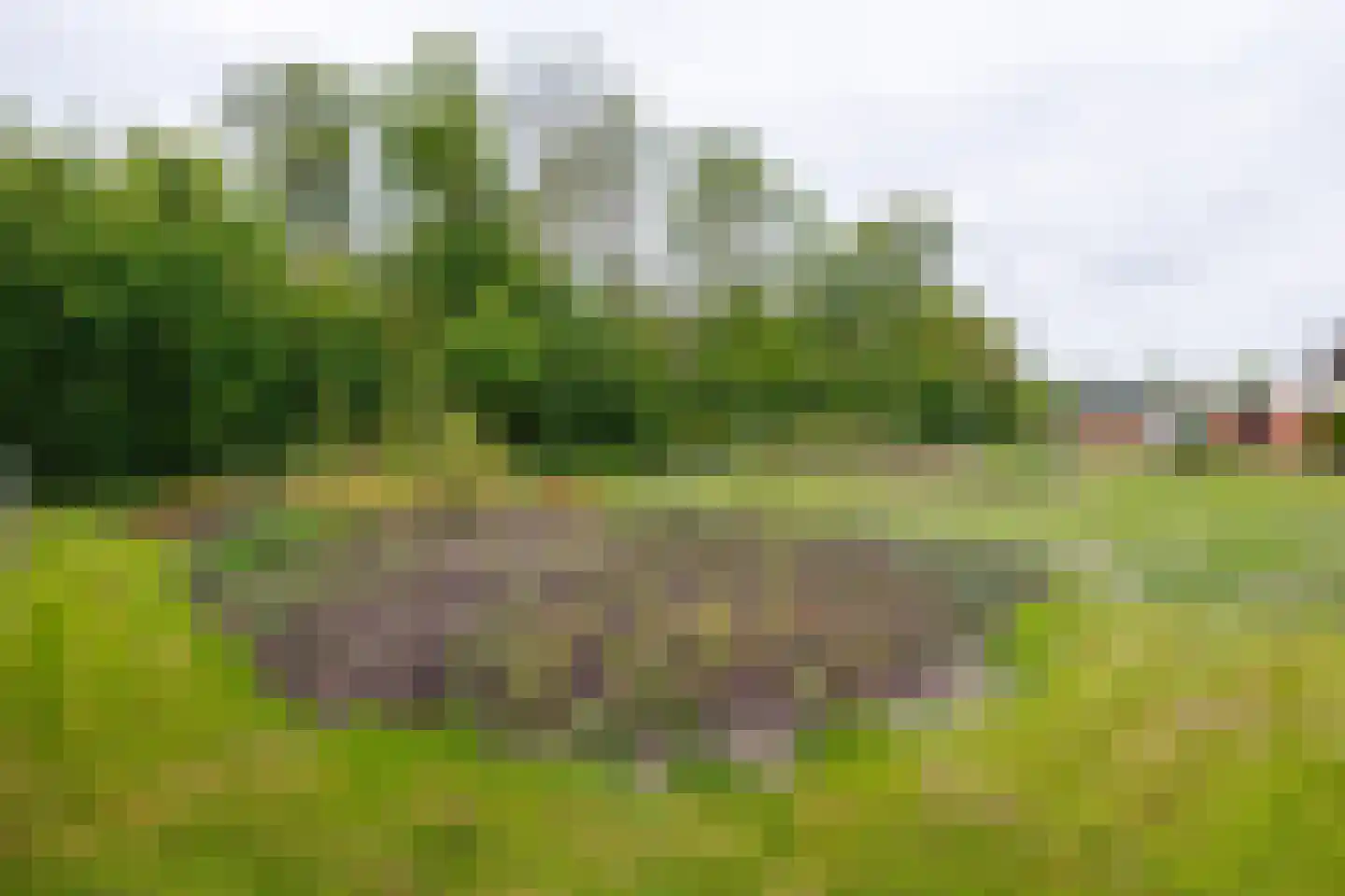Duinschooten 12 027 Noordwijkerhout thumbnail 32