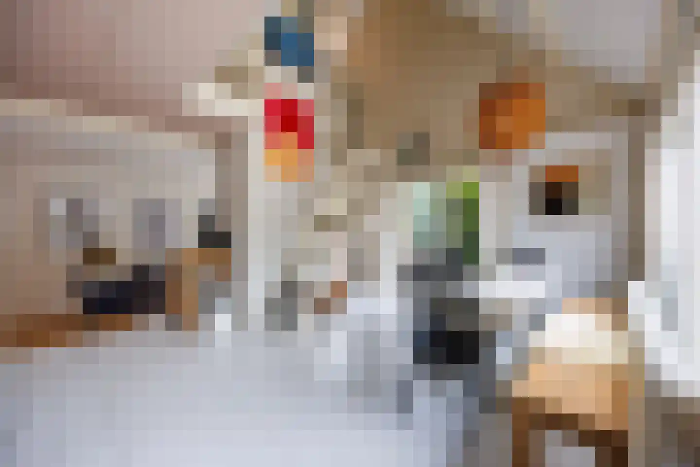 Duinschooten 12 027 Noordwijkerhout thumbnail 7