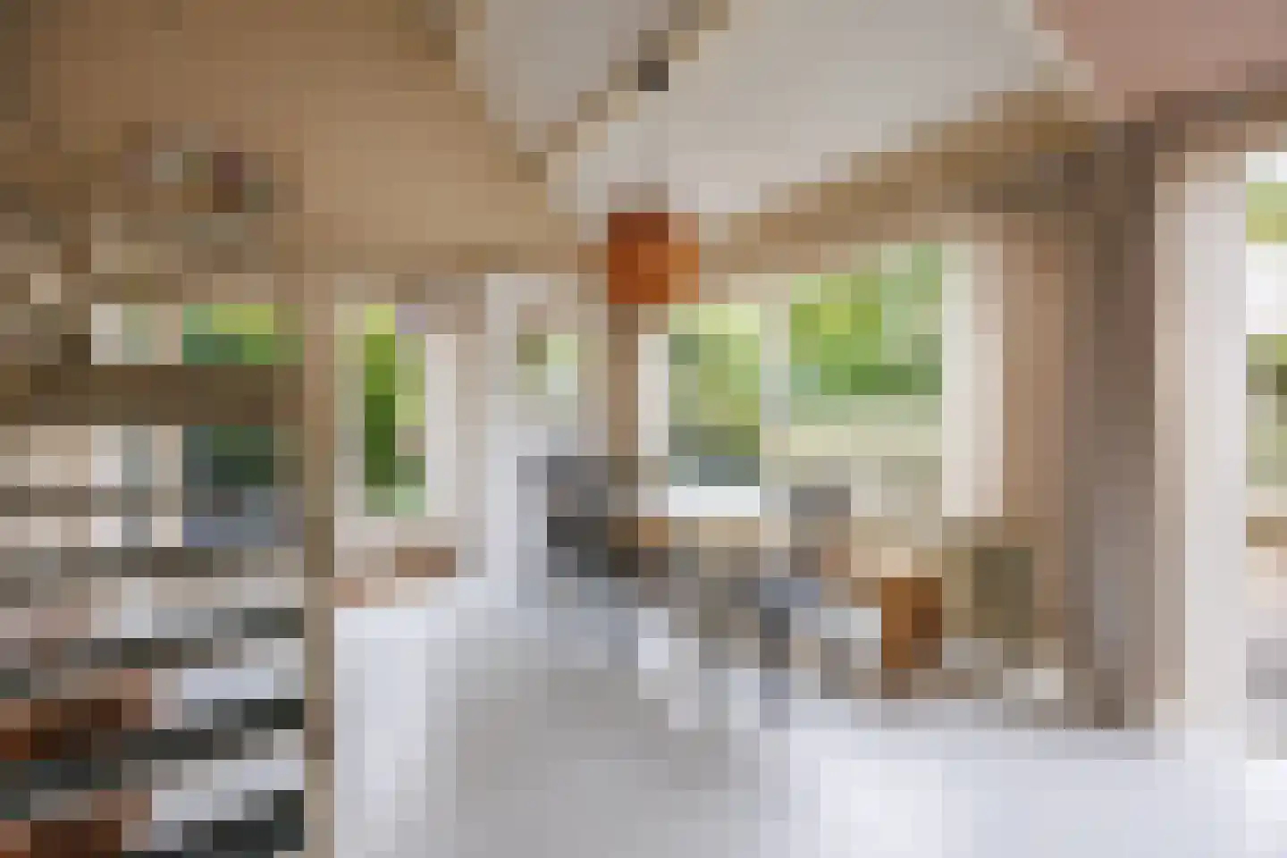 Duinschooten 12 027 Noordwijkerhout thumbnail 9