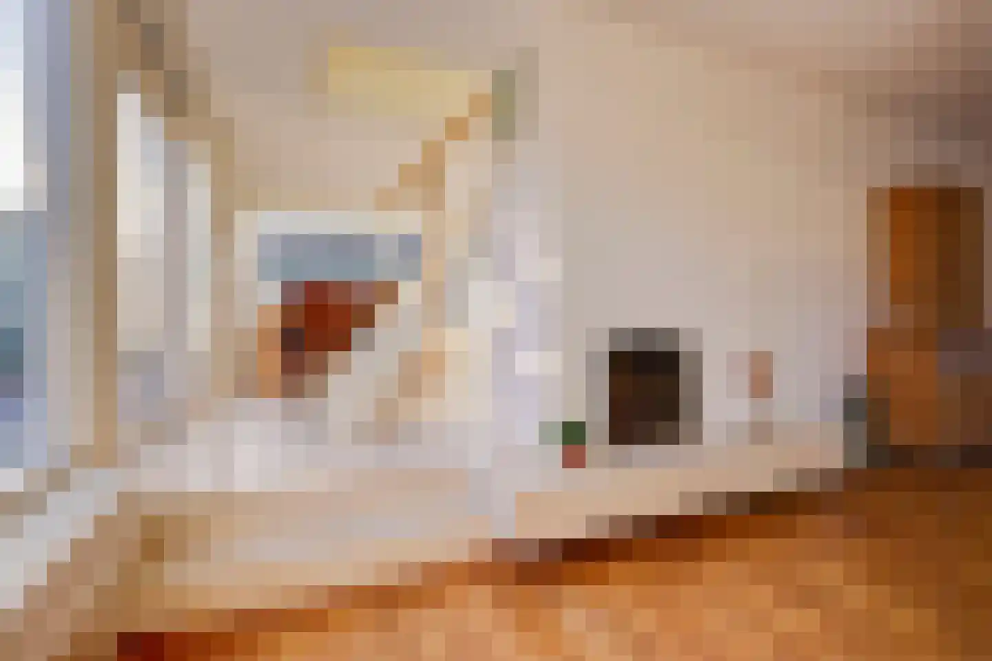 Duinschooten 12 034 Noordwijkerhout thumbnail 13