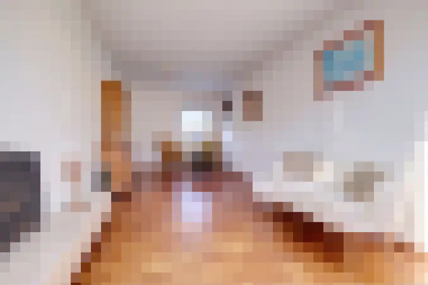 Duinschooten 12 034 Noordwijkerhout thumbnail 15