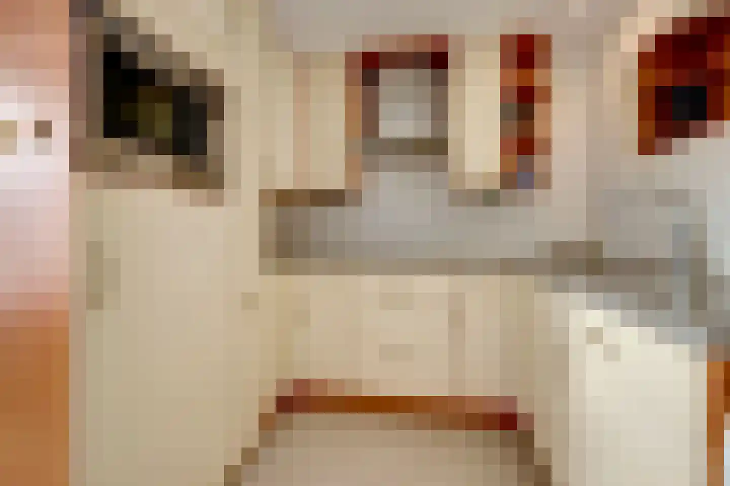 Duinschooten 12 034 Noordwijkerhout thumbnail 18