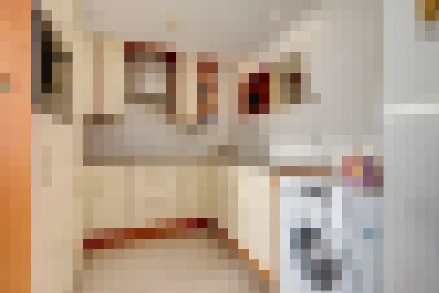 Duinschooten 12 034 Noordwijkerhout thumbnail 19