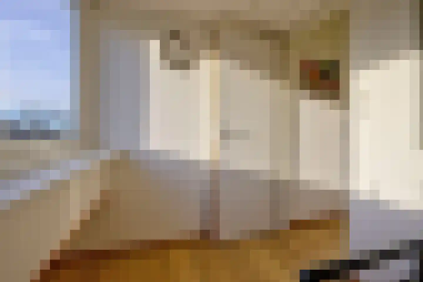 Duinschooten 12 034 Noordwijkerhout thumbnail 36
