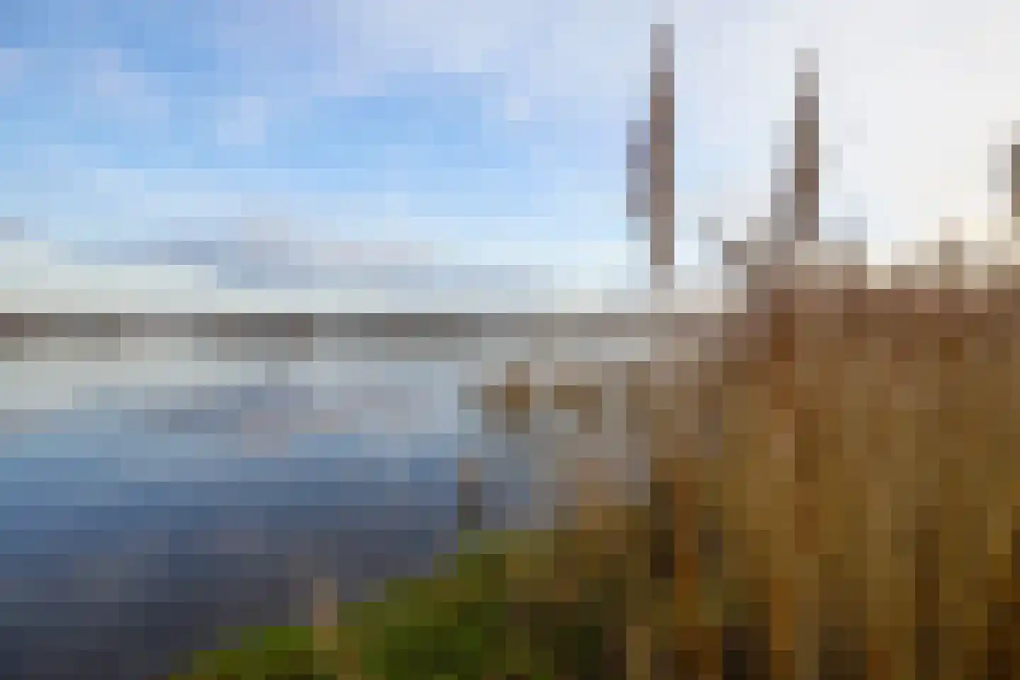 Duinschooten 12 034 Noordwijkerhout thumbnail 49