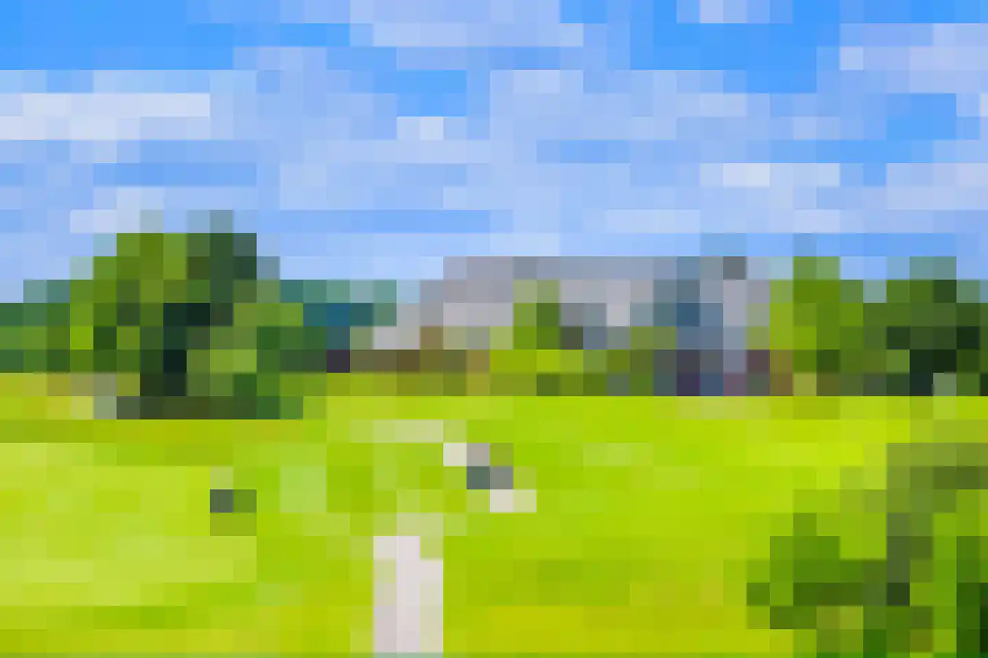 Duinschooten 12 034 Noordwijkerhout thumbnail 52