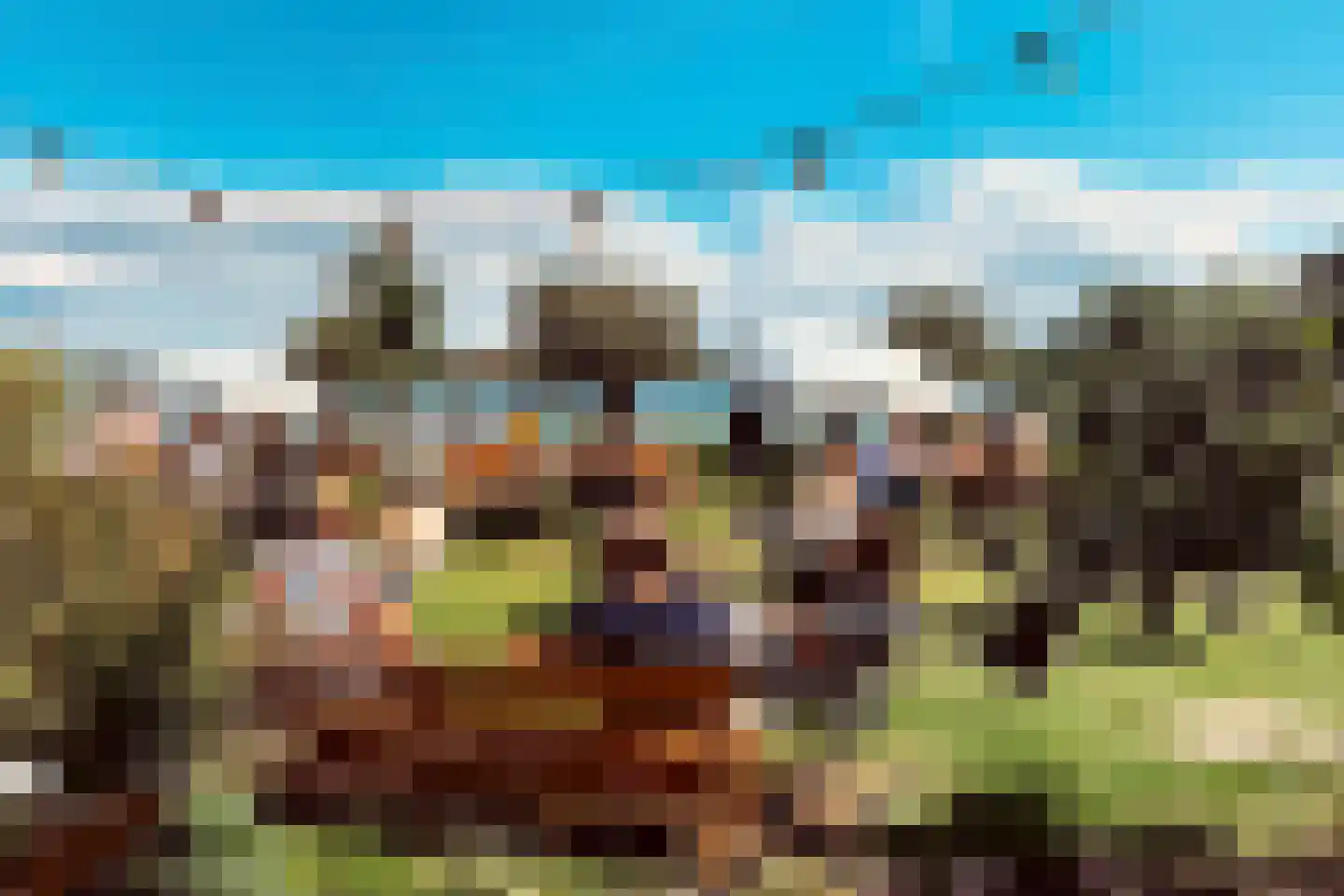 Duinschooten 12 034 Noordwijkerhout thumbnail 54