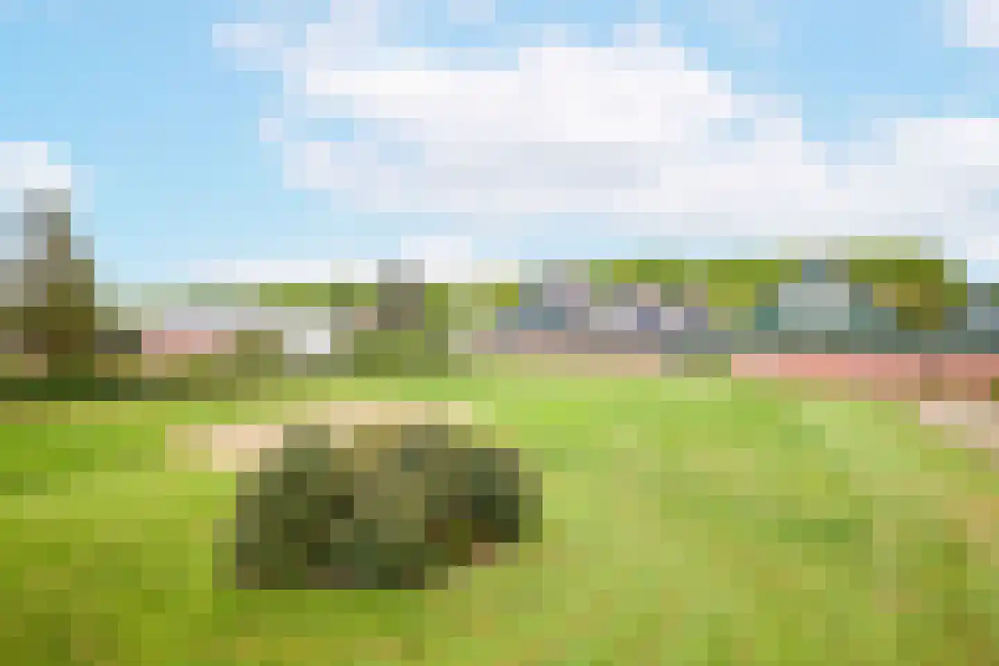 Duinschooten 12 034 Noordwijkerhout thumbnail 57