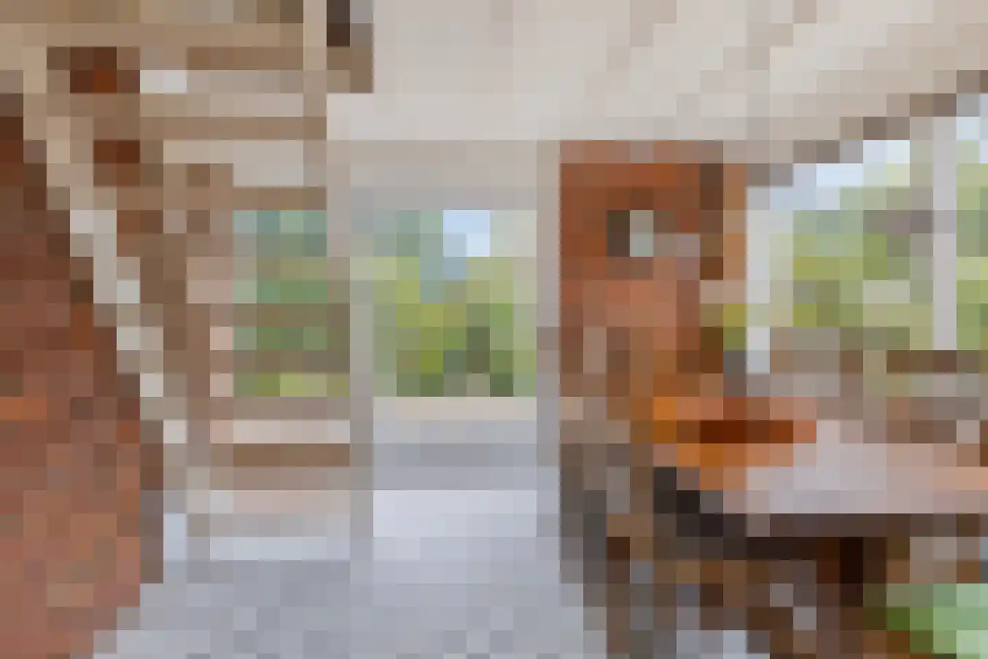 Duinschooten 12 039 Noordwijkerhout thumbnail 13