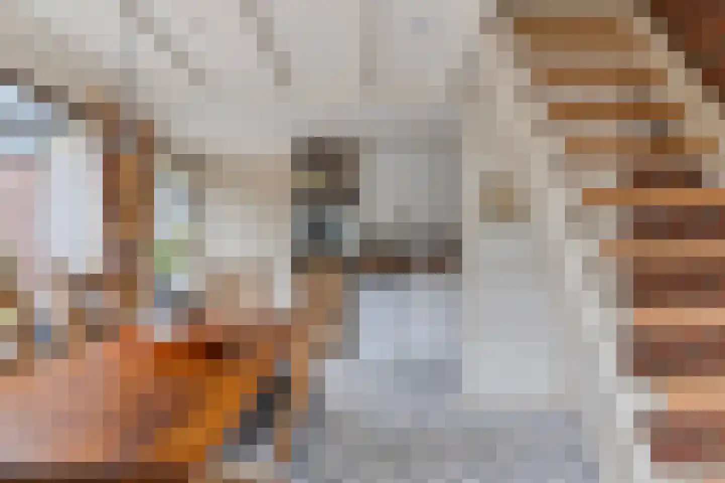 Duinschooten 12 039 Noordwijkerhout thumbnail 14