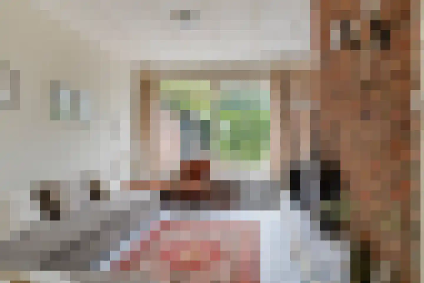Duinschooten 12 039 Noordwijkerhout thumbnail 18