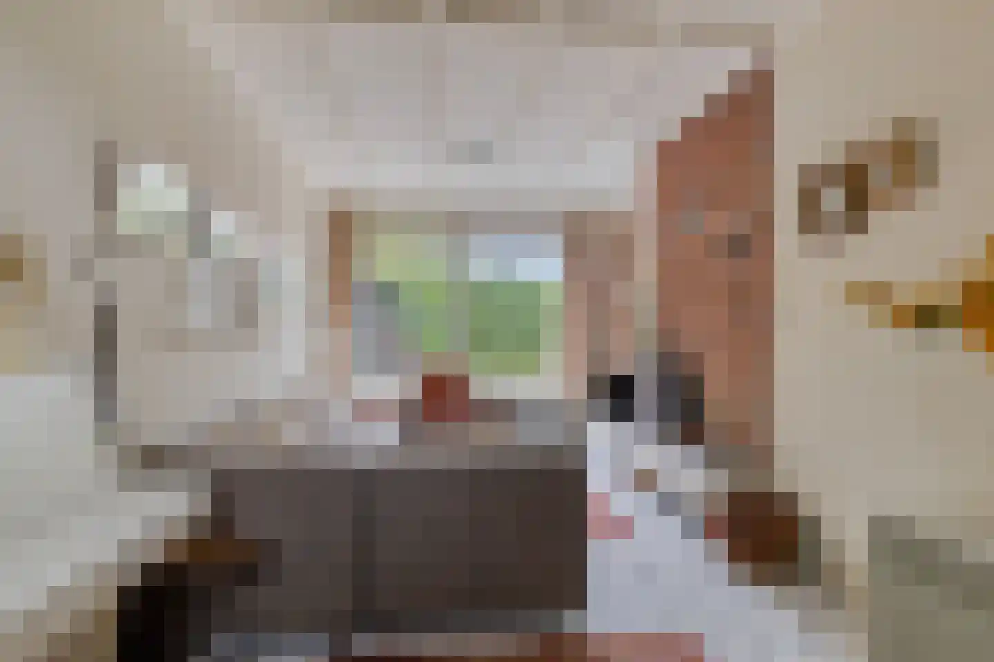 Duinschooten 12 039 Noordwijkerhout thumbnail 19