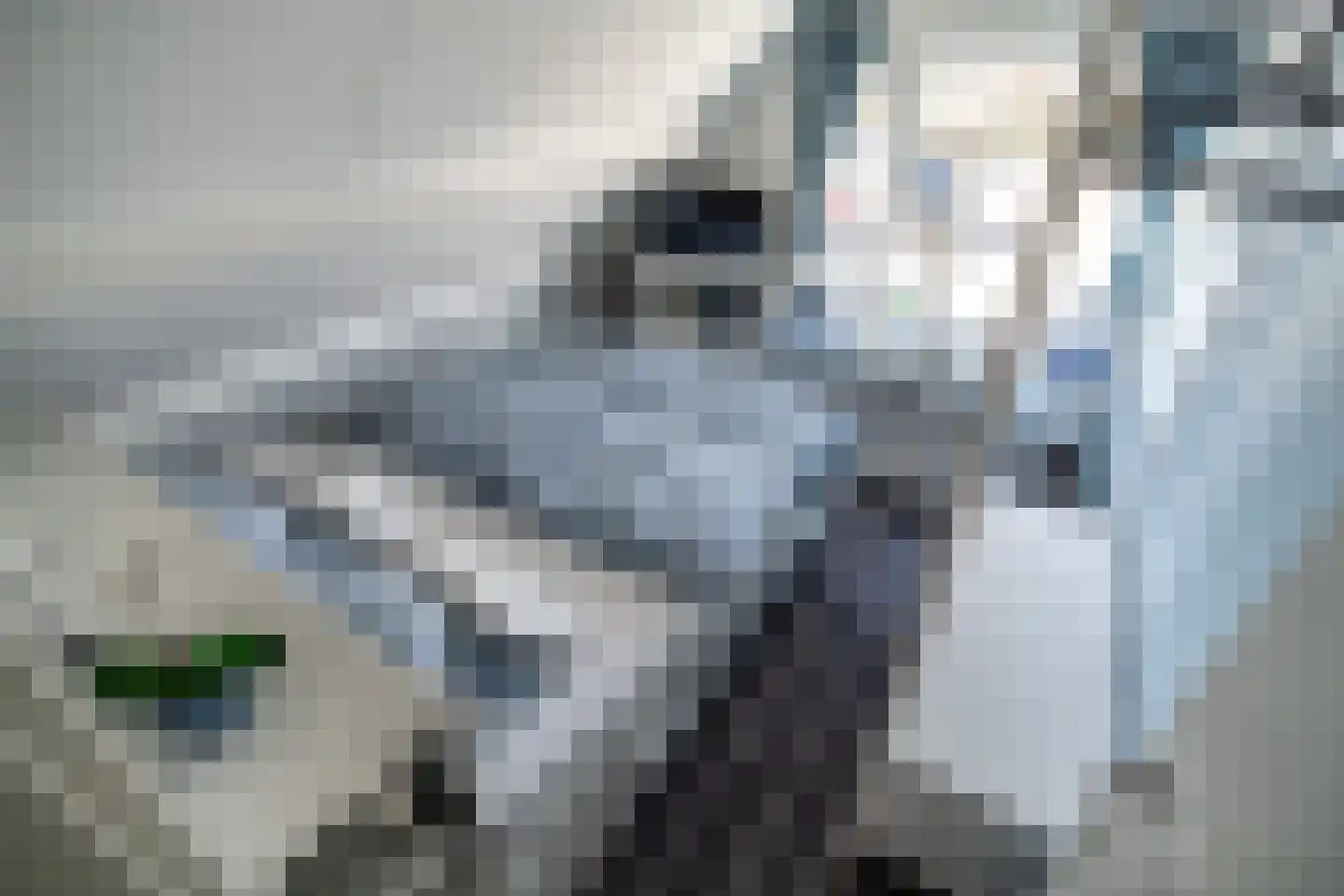 Duinschooten 12 046 Noordwijkerhout thumbnail 10