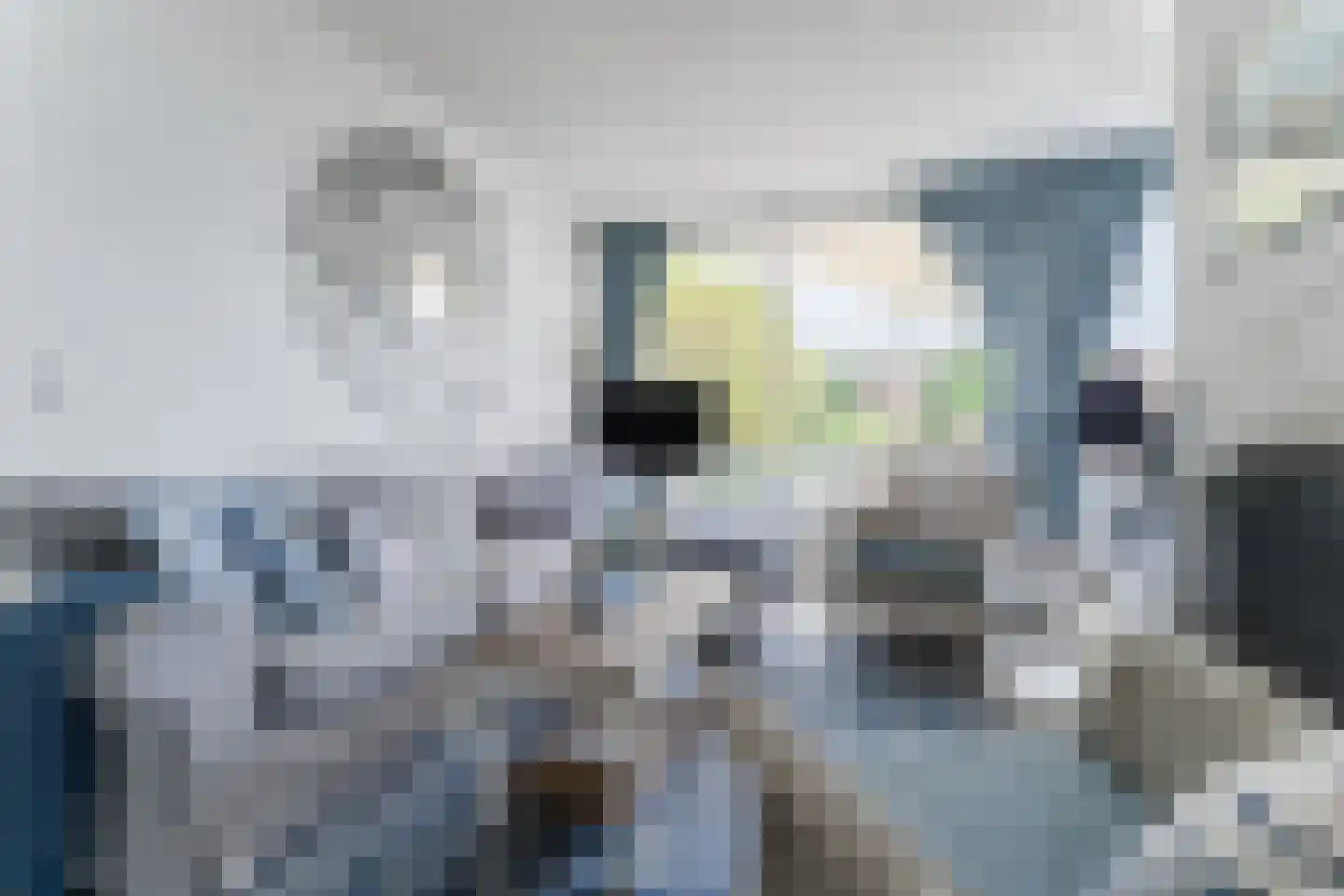 Duinschooten 12 046 Noordwijkerhout thumbnail 26