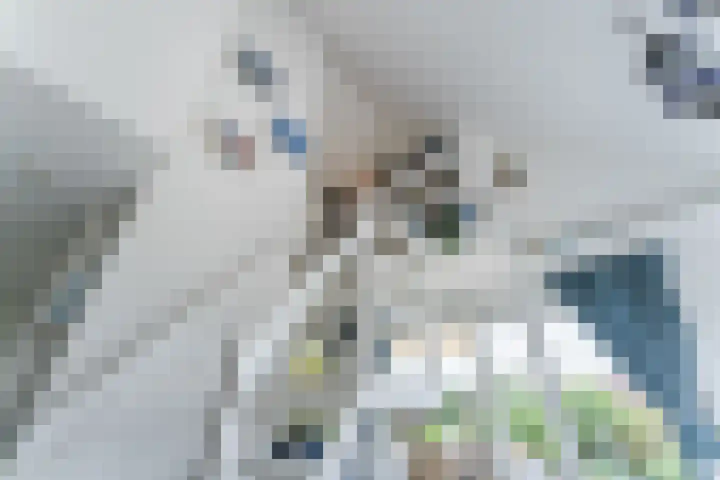 Duinschooten 12 046 Noordwijkerhout thumbnail 31