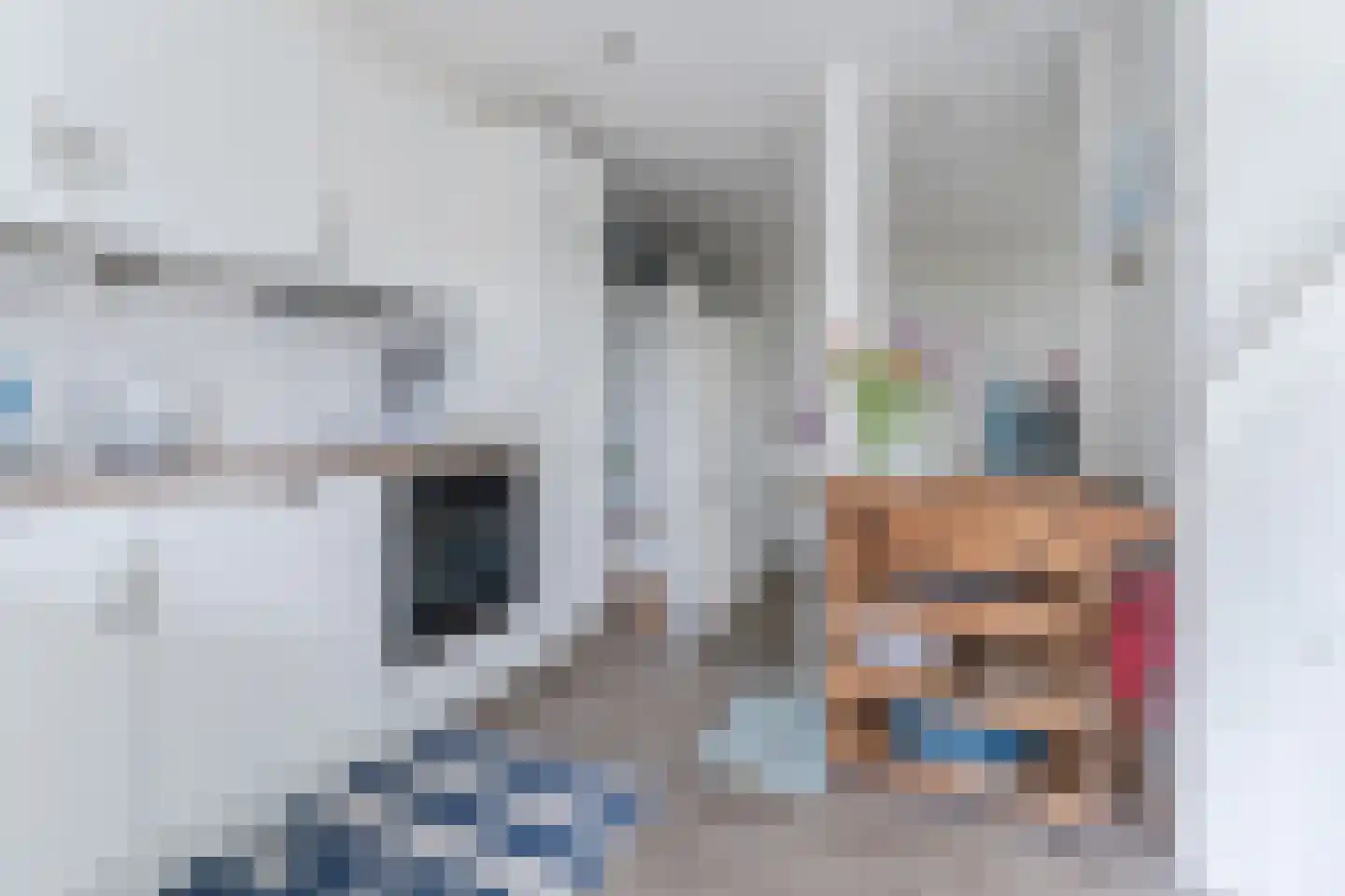 Duinschooten 12 046 Noordwijkerhout thumbnail 33