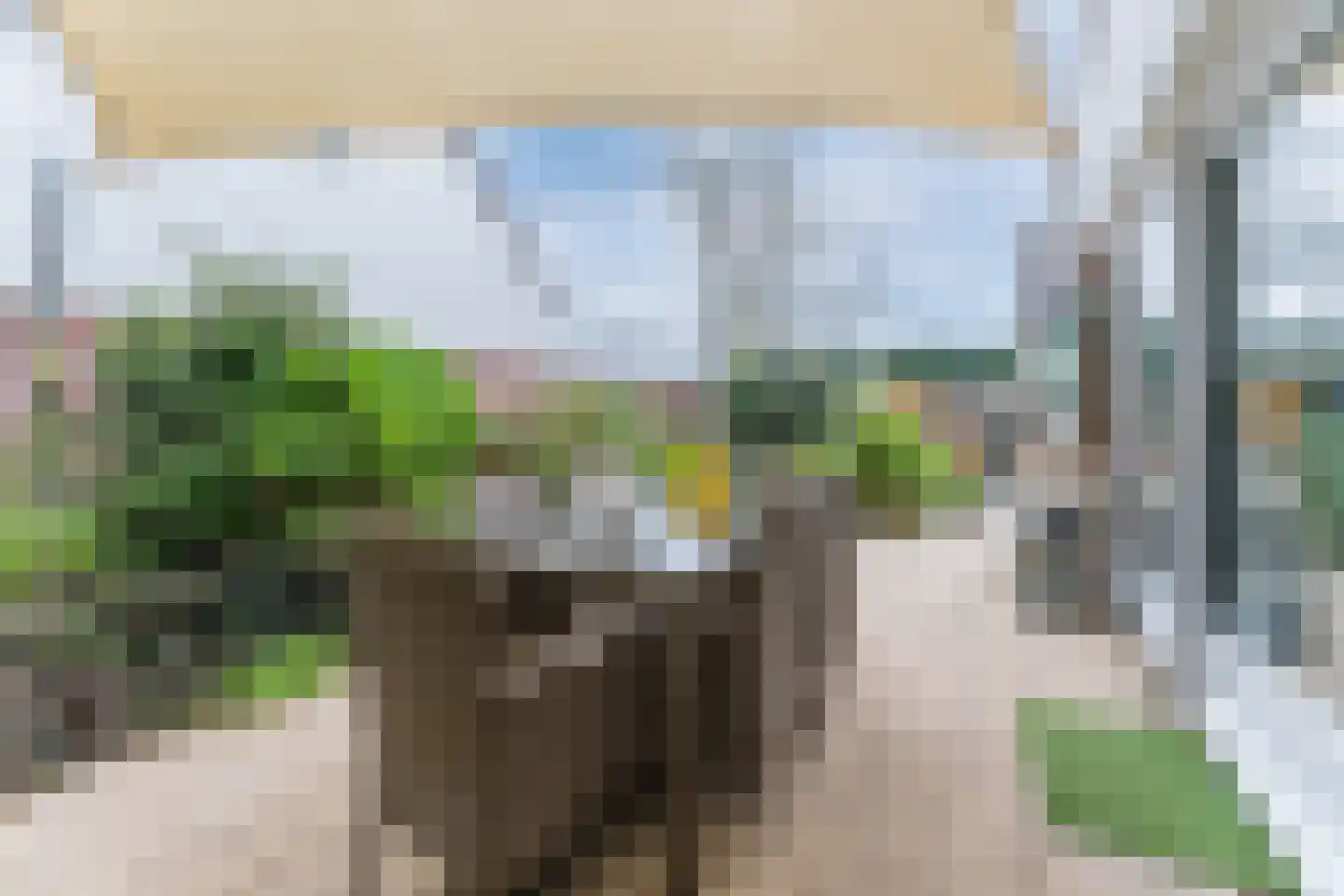Duinschooten 12 046 Noordwijkerhout thumbnail 59