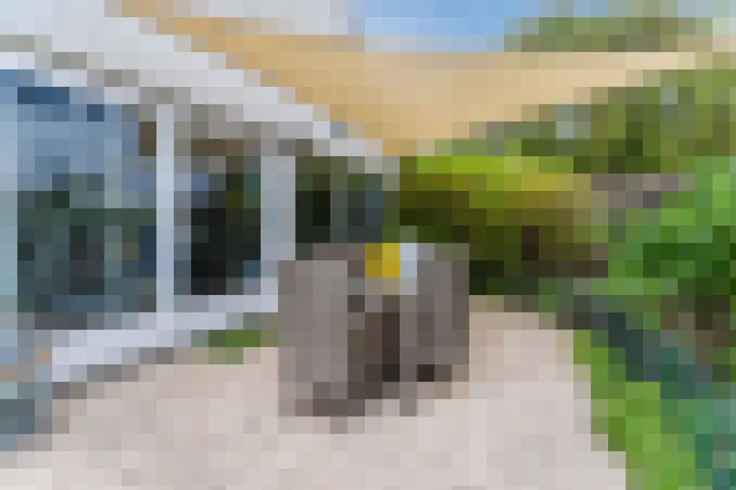 Duinschooten 12 046 Noordwijkerhout thumbnail 61