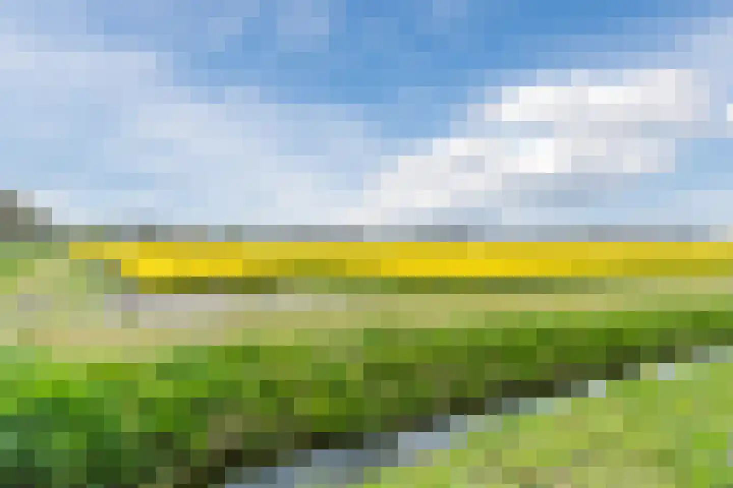 Duinschooten 12 046 Noordwijkerhout thumbnail 69