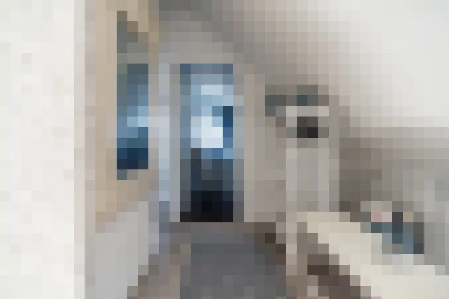 Duinschooten 12 046 Noordwijkerhout thumbnail 9