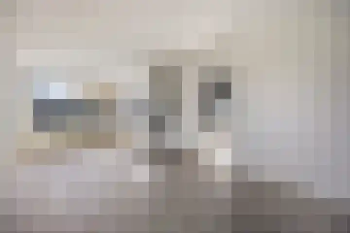 Duinschooten 12 056 Noordwijkerhout thumbnail 11