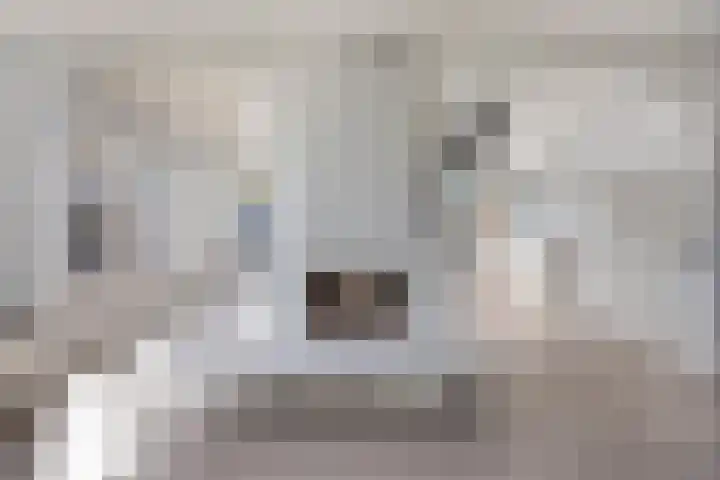 Duinschooten 12 056 Noordwijkerhout thumbnail 12