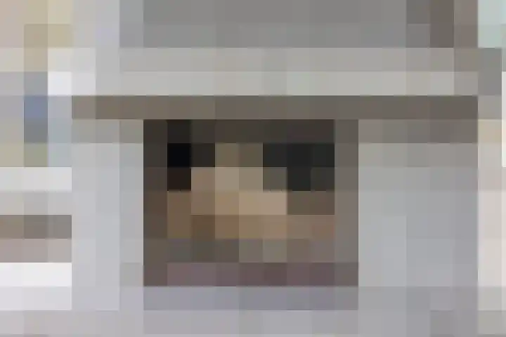 Duinschooten 12 056 Noordwijkerhout thumbnail 13