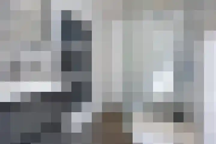 Duinschooten 12 056 Noordwijkerhout thumbnail 14