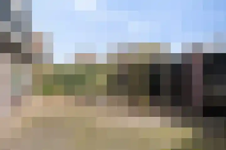 Duinschooten 12 056 Noordwijkerhout thumbnail 23