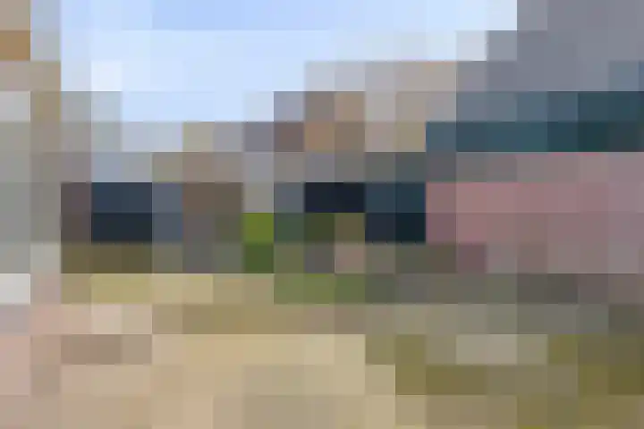 Duinschooten 12 056 Noordwijkerhout thumbnail 25
