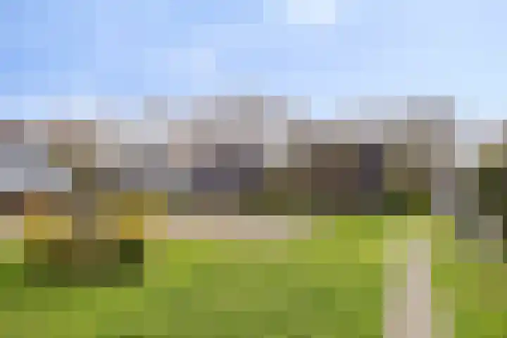 Duinschooten 12 056 Noordwijkerhout thumbnail 26