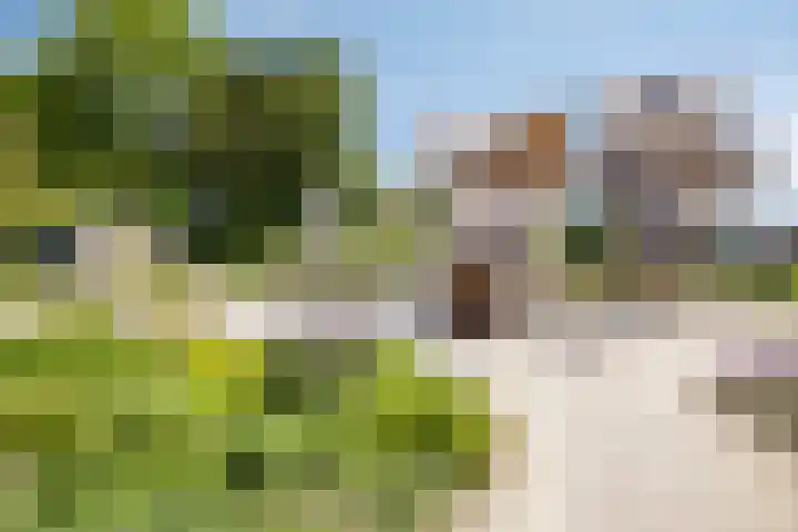 Duinschooten 12 056 Noordwijkerhout thumbnail 28