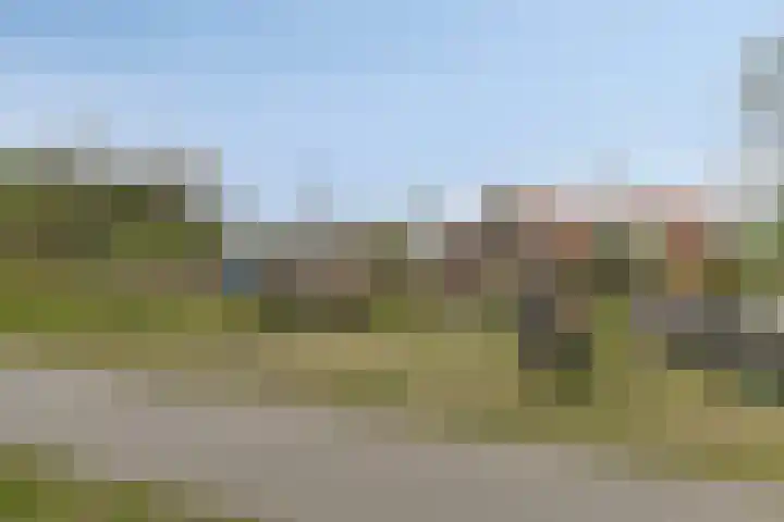 Duinschooten 12 056 Noordwijkerhout thumbnail 29