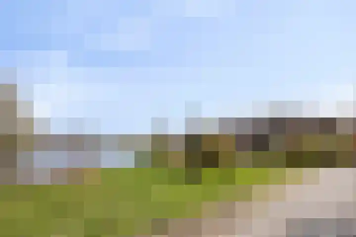 Duinschooten 12 056 Noordwijkerhout thumbnail 30